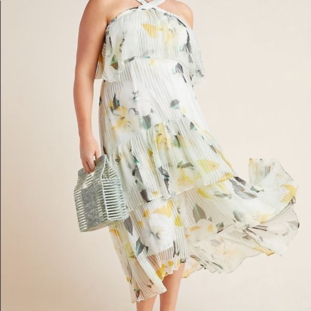 Anthropologie Garden Party Dress 26W $240 NWOT